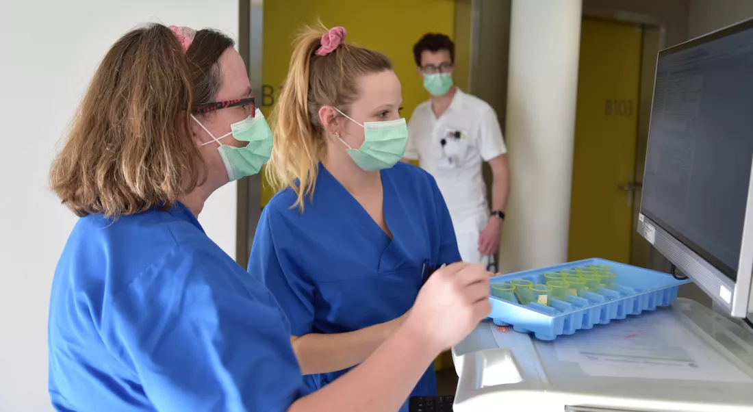 Pflege.jpg Pflege.jpg